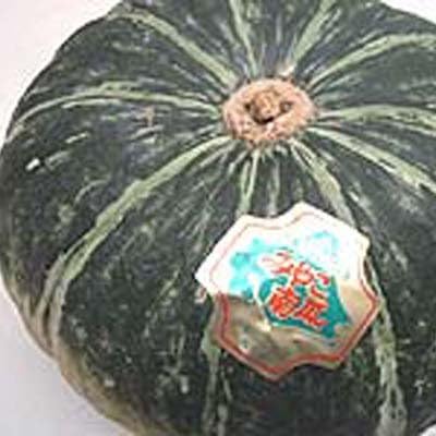 Amazon みやこかぼちゃ 1個 1 5kg前後 みやこかぼちゃ 野菜 通販