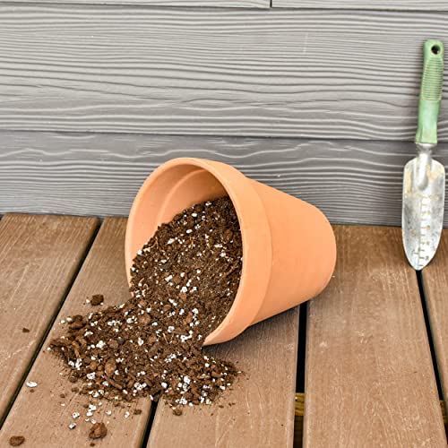 Hand Blended Fiddle Leaf Fig Potting Soil, All Natural Fiddle Leaf Fig