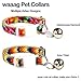 WAAAG Pet Supplies Aztec Tribal Collar, Leash, and Harness for Cats and Dogs - Small, Medium, Large (XXS)