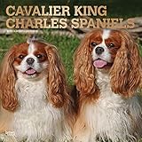 Cavalier King Charles Spaniels 2019 12 x 12 Inch Monthly Square Wall Calendar with Foil Stamped Cove by 