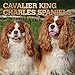 Cavalier King Charles Spaniels 2019 12 x 12 Inch Monthly Square Wall Calendar with Foil Stamped Cove by 
