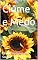 Livro Ciúme e Medo