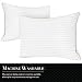 Italian Luxury Plush Gel Pillows 2100 Series (2-Pack) - Premium Quality Luxury Hotel Collection - Hypoallergenic & Dust Mite Resistant - Queen