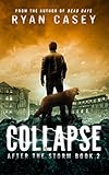 Collapse (After the Storm Book 2)
