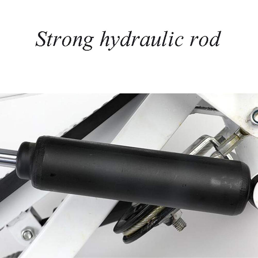 エネルギーを知らない馬鹿者が多すぎ 運動医科学の権威に 叱ってもらう Tarzan Web ターザンウェブ