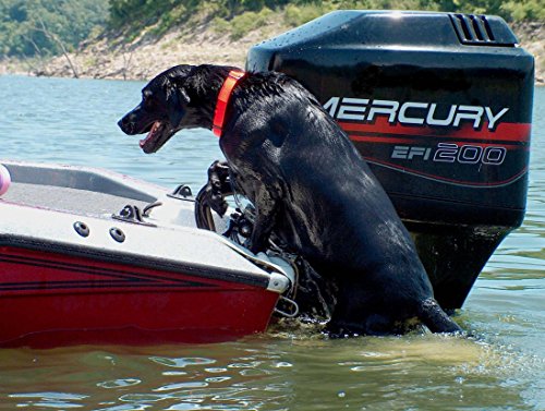 Great-Day-LP500-Pet-Loading-Platform-Load-A-Pup-For-Boats