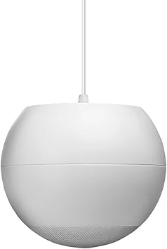 Amazon Com Osd Audio 70v Hanging Pendant Speaker Reinforced