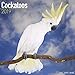 Cockatoos Calendar - Parrot Calendars - Bird Calendars - Calendars 2018 - 2019 Wall Calendars - Monthly Wall Calendar by Avonside