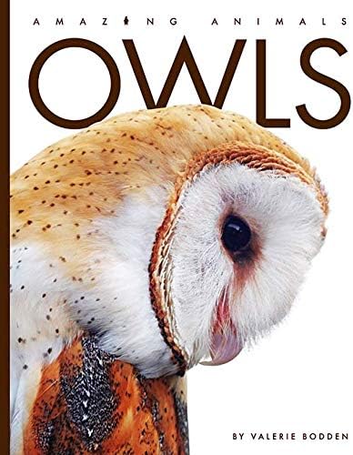 Owls of the World: Hume, Rob, Boyer, Trevor: 9781561380329: Amazon