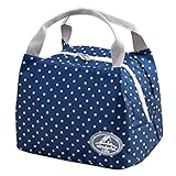 Geyou Lunch Bags,Insulated Cold Canvas Stripe Picnic Carry Case Thermal Portable Lunch Bag for Women Kids (D)