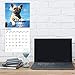 2020 French Bulldog Puppies Wall Calendar by Bright Day, 16 Month 12 x 12 Inch, Cute Dogs Animals Frenchies Canine