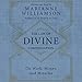 The Law of Divine Compensation: On Work, Money, and Miracles by 