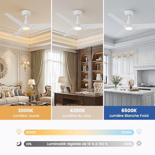 AUTODAY Ceiling Fan With Led Light, 18W Dimmable, Silent DC Motor 32W, 106Cm, ABS Blades, Memory Remote, 6 Speed, White