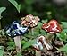 QIDIANTRADE 4-Pack Ceramic Garden Mushrooms,Lawn Ornament Décor,Pottery Ornament Model Statue,Toadstools,Potting Shed,Flowerpot