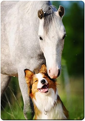 Horse and dog Friend fridge magnet