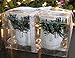 BANBERRY DESIGNS Christmas Candle Holders - Set of 2 White Glitter Votive Holders with Greenery and Berries - LED Flameless Candles Included - Christmas Centerpiece Candles