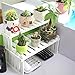 WINGOFFLY 2 Tier Tabletop Wooden Plant Stand Decorative Planter Holder Desktop Flower Pot Shelf Rack for Office Home 15.7″L x 8.25″W x 11.8″H(White)thumb 1