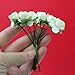 144 X Chic Mini Artificial Paper Rose Flower Wedding Card Decor Craft (Ivory)