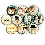 Koolemon Round Glass Fridge Magnet Set,Funny Magnets (Cat)
