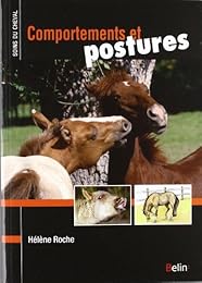 Comportements et postures