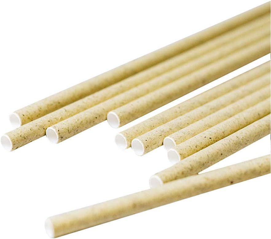 BIOZOYG - Cañitas de Papel de Hierba Biodegradables, 20 cm