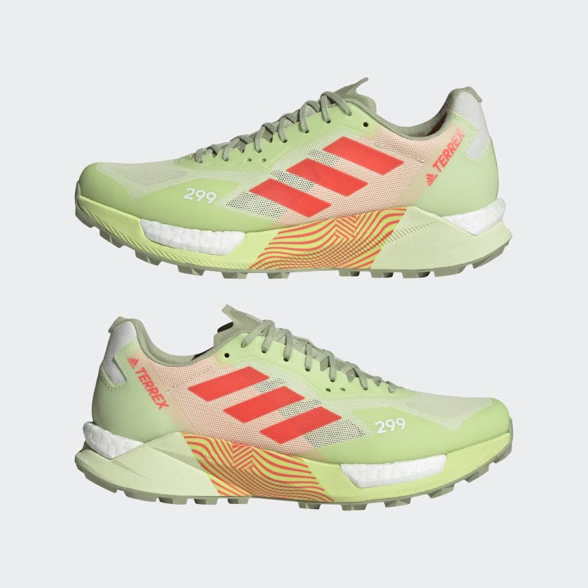 adidas Terrex Agravic Flow 2 GTX W, Women's Trainers