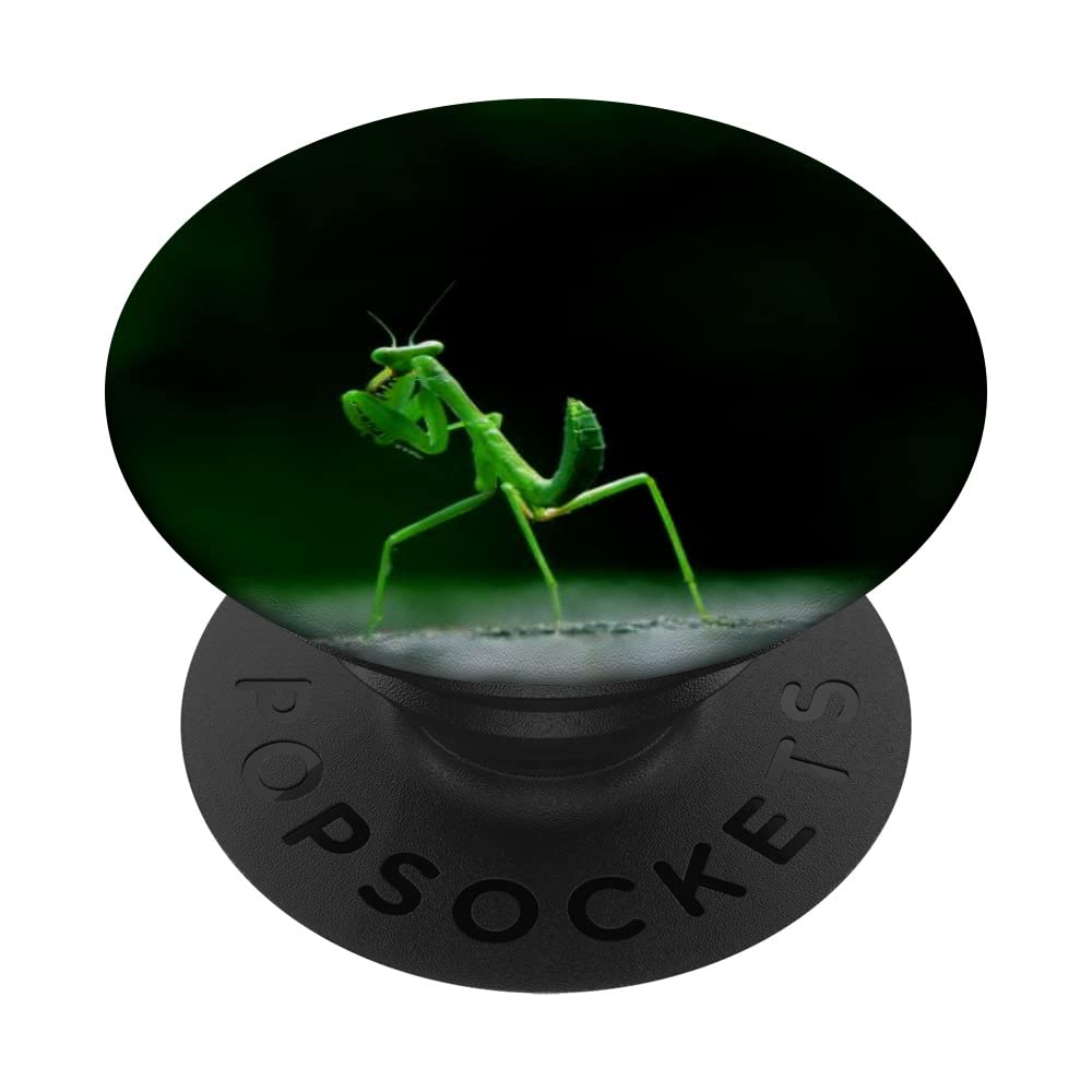 Prey Mantis PopSockets Swappable PopGrip