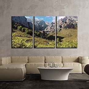 3 Piece Canvas Wall Art - Mountain Valley with Trees and Grass - Modern Home Art Stretched and Framed Ready to Hang - 16"x24"x3 Panels