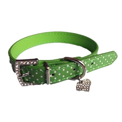 Yivise Dog Chien De Compagnie Chien Chiot De Chat Heart