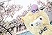 Alpacasso 14