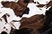 North End Decor Faux Fur Cowhide Plush Throw Blanket