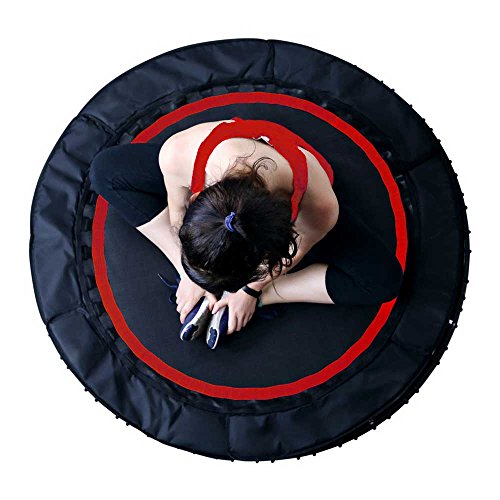 image for Leaps & Rebounds Bungee Rebounder - In-Home Mini Trampoline - Safety B