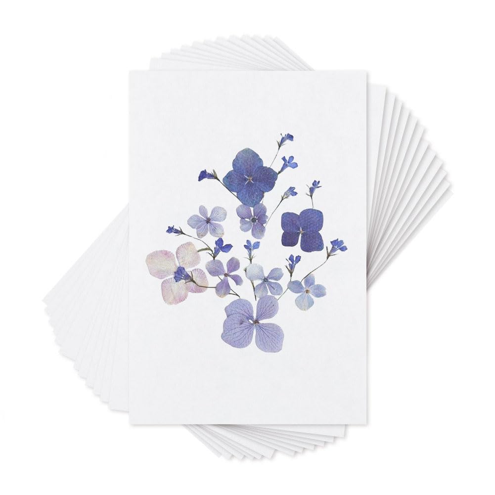 OLYCRAFT Flower Press Blotting Paper Herbarium Press Papers Reusable Blotter Papers Blotter Paper Sheets for DIY Floral Preservation and Art Projects-0.4mm Thick (30x20cm)