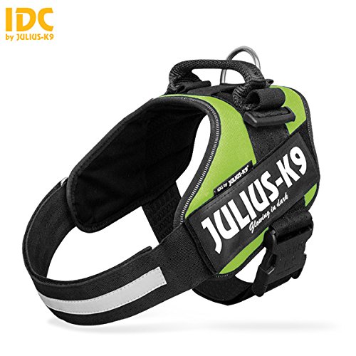 Top 5 Best Harnesses for Bulldogs in 2019 Dog Struggles