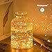 TaoTronics 33ft 100 LED String Lights Plug In 2 Pack Dimmable with Remote Control, Waterproof Decorative Lights for Bedroom, Patio, Garden, Gate, Yard, Parties, Wedding(Copper Wire Lights, Warm White)