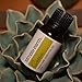 Cassia Essential Oil by Simply Earth - 15 ml, 100% Pure Therapeutic Grade