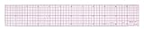 Westcott B-70 8ths Graph Beveled Ruler, 12 in