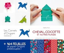 Les  carnets d'origami