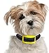 Our K9 Training Made Easy - Bark Collar for Small Dogs Using Sound & Vibration or Ultrasonic & Vibration. 100% Pain-Free - 100% Safe (Small - Medium - Large, Brown)