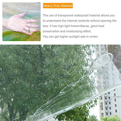 BeGrit Upgraded Waterproof Glass Clear Tarpaulin Sheet,Heavy Duty Dustproof Rainproof Strengthen Windproof Vinyl Tarp Cover,2M X 2M with Eyelets Bungees Ball Cord for Plants Greenhouse Pet Hutch Roof