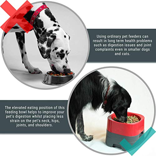 PET WEIGHTER Raised Dog Bowl Weighted Dog Bowl or Cat Bowl, No Spill