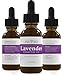 Pur360 Lab Tested and Verified Lavender Essential Oil, Therapeutic Grade For Sleep, Hair, Aromatherapy, Skin, Body, Massage, Anxiety