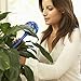 GARDENING SOLUTIONS Hydro Globes Automatic Watering Bulbs (4)