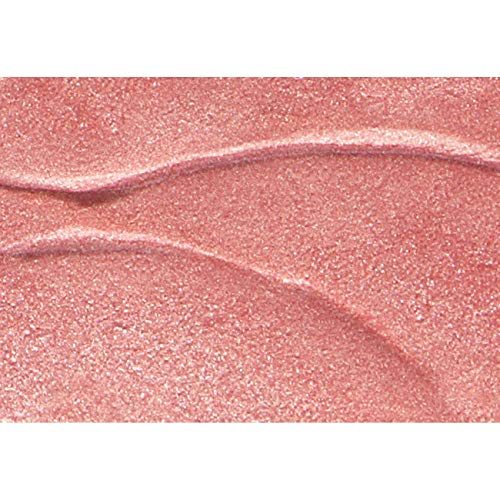 3 Burts+Bees+Natural+Moisturizing+Shimmer