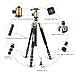 ZOMEI Tripod,Camera Tripod,Lightweight Camera Travel Z818 Tripod Aluminium Alloy Monopod with 360 Panorama Ball Head Quick Release Plate Ball for DSLR Canon Sony Nikon Cameras(Gold)