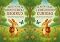 Livro as aventuras o coelhinho curioso: uma historia encatadora sobre amizade, coragem e descobertas