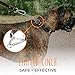Mighty Paw Martingale Dog Collar - No Pull Design - Stainless Steel Chain - Limited Chain Cinch Training - Brown Leather Martingale Training Collar - Small Size