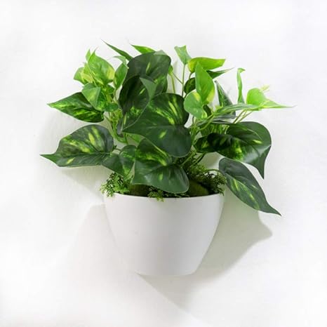 Amazon 観葉植物 ミニ 鉢植え 壁掛け フェイクグリーン 造花 人工観葉植物 インテリア 小さい 壁飾り 人工植物 おしゃれ 雑貨 鉢 白 フェイク 緑 グリーン ギフト 壁掛け盆栽壁 廊下 リビング ホワイト 人工観葉植物 オンライン通販