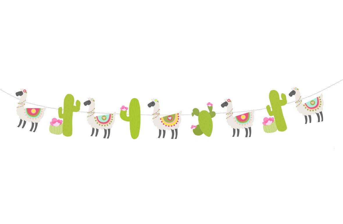 Amazon Com Llama And Cactus Garland Or Banner Party Decorations