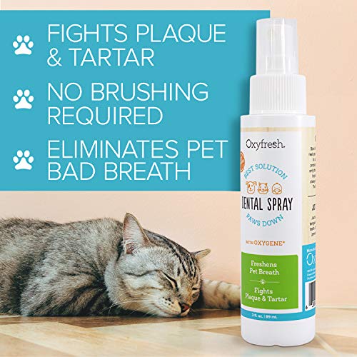 Oxyfresh Advanced Pet Dental Spray Instant Pet Fresh Breath Easiest